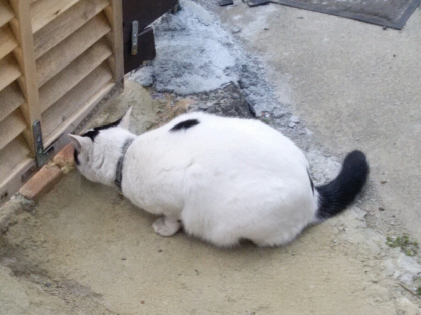 コメント551の画像