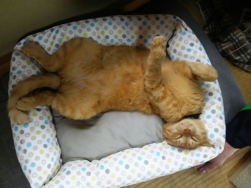 コメント576の画像