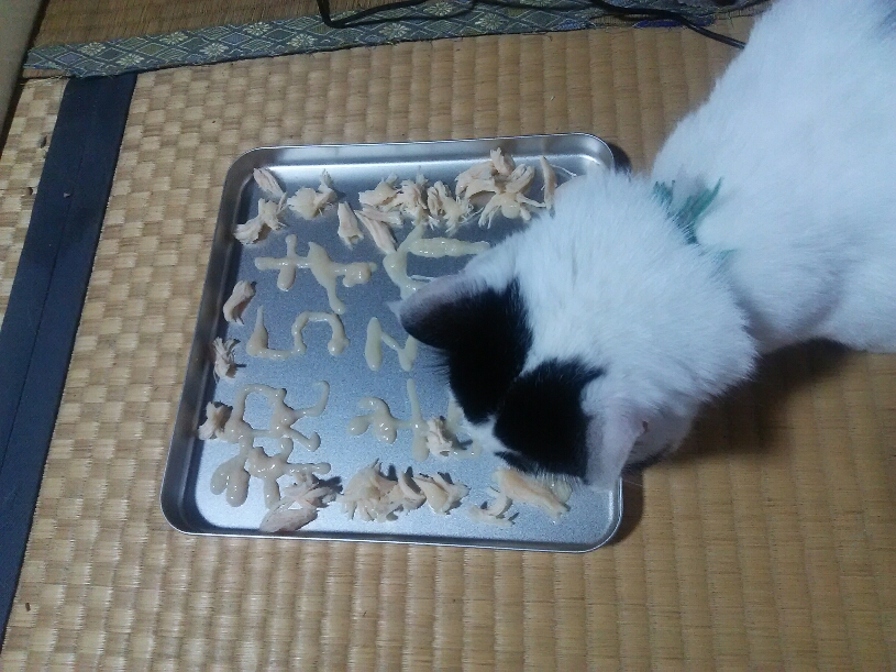 コメント589の画像