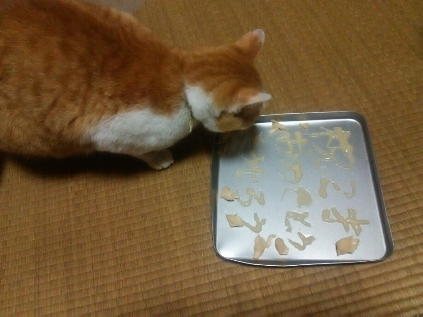 コメント592の画像