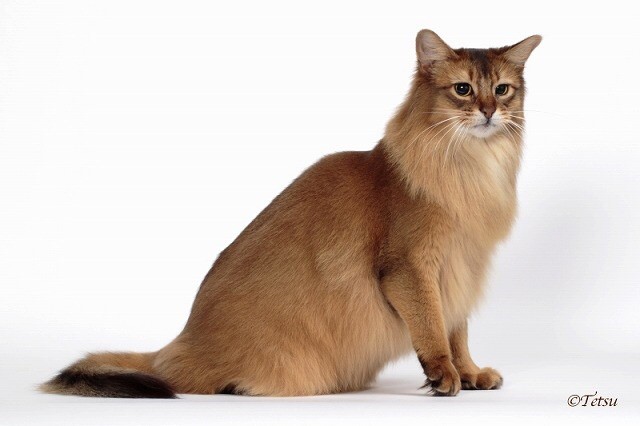 コメント362の画像