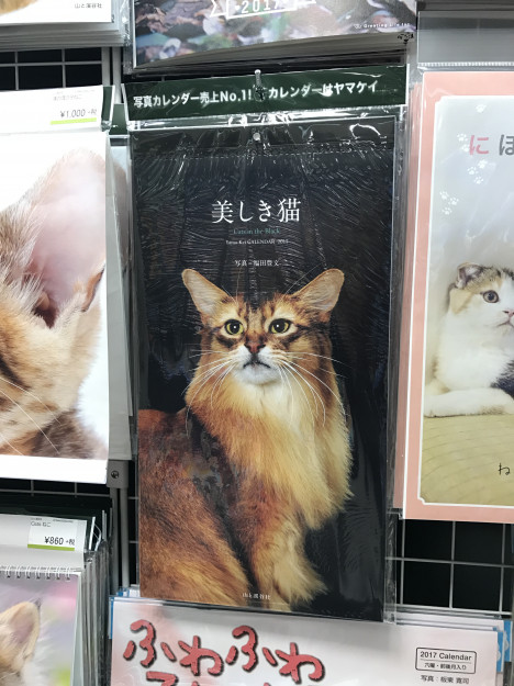 コメント528の画像