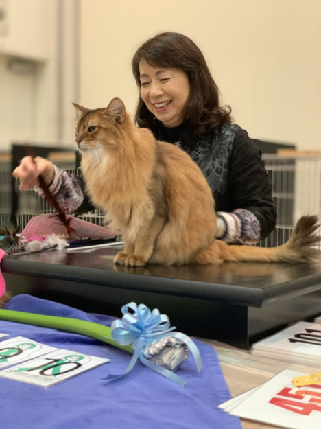 コメント588の画像