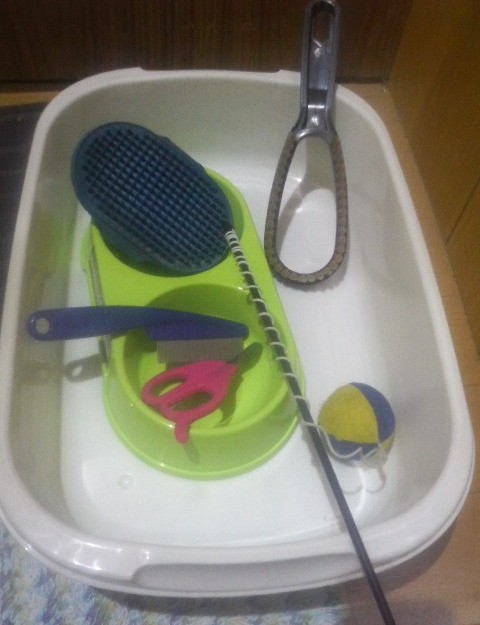 コメント88の画像