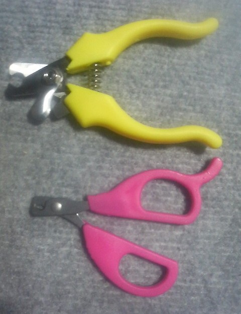 コメント102の画像