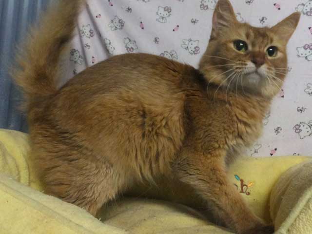 コメント139の画像