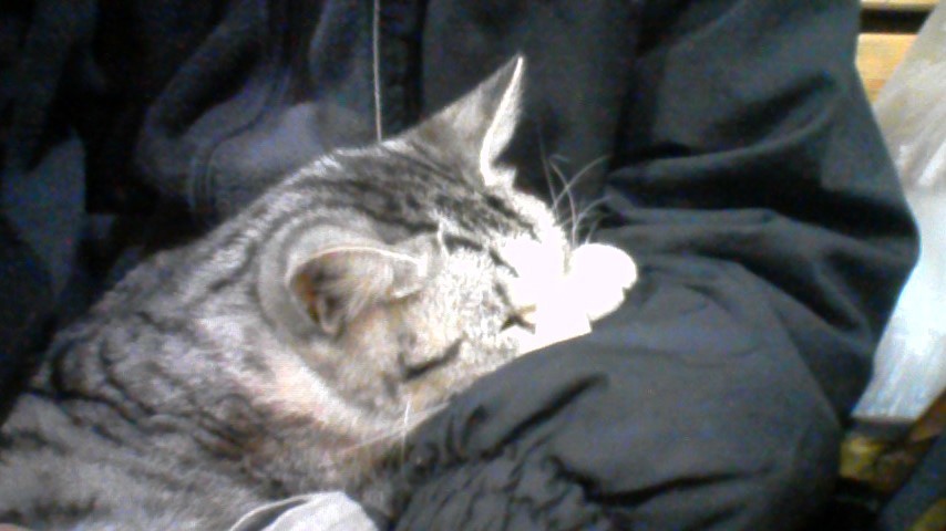 コメント163の画像