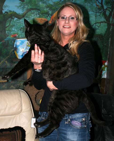 コメント200の画像