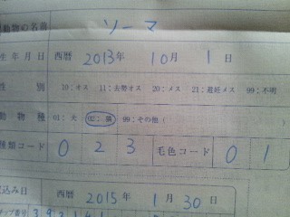 コメント225の画像