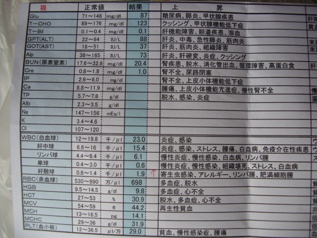 コメント280の画像