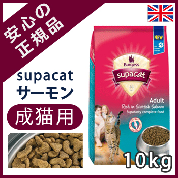 コメント283の画像