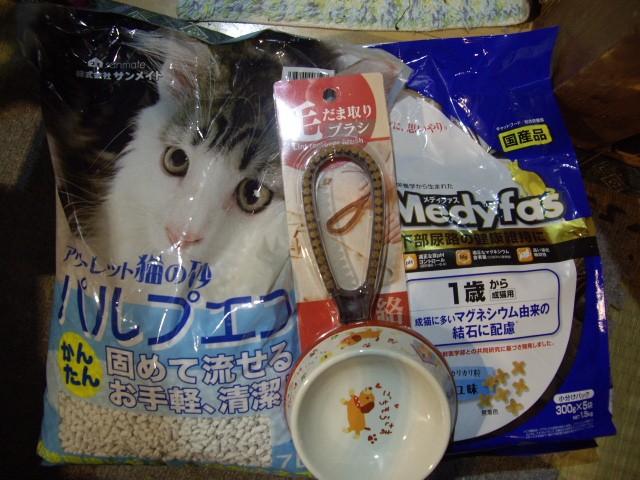 コメント287の画像