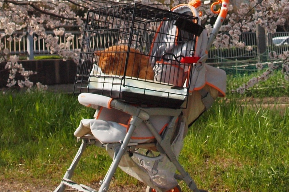 コメント314の画像