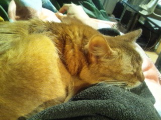 コメント321の画像