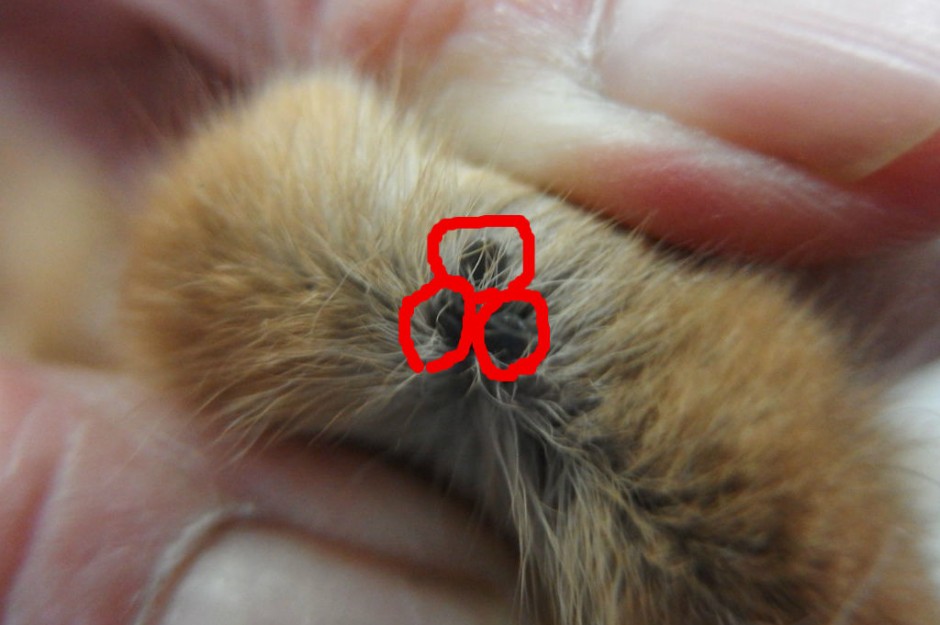 コメント324の画像