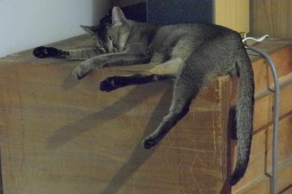 コメント357の画像