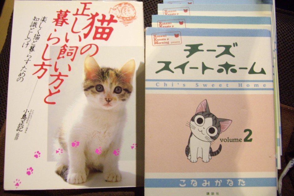 コメント369の画像