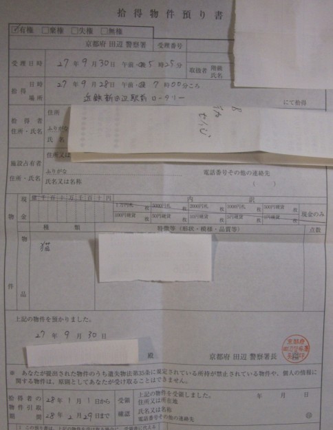 コメント371の画像