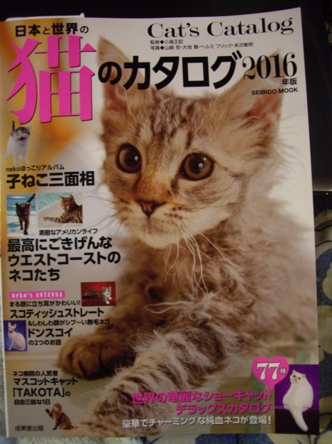 コメント373の画像