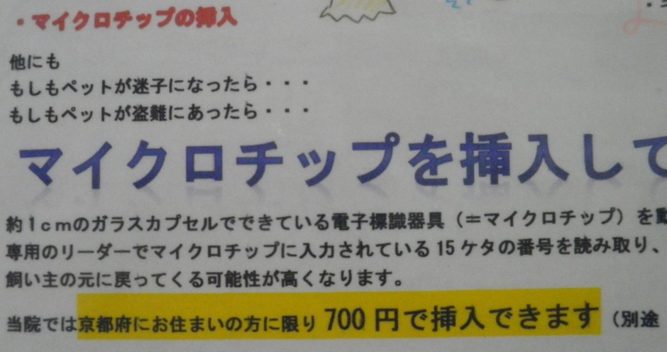 コメント487の画像