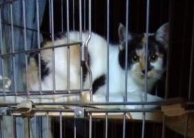 コメント612の画像