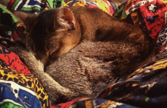 コメント620の画像