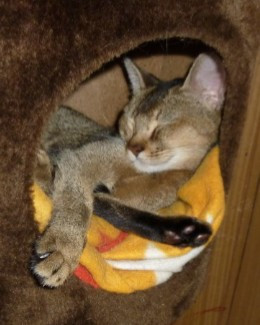 コメント635の画像