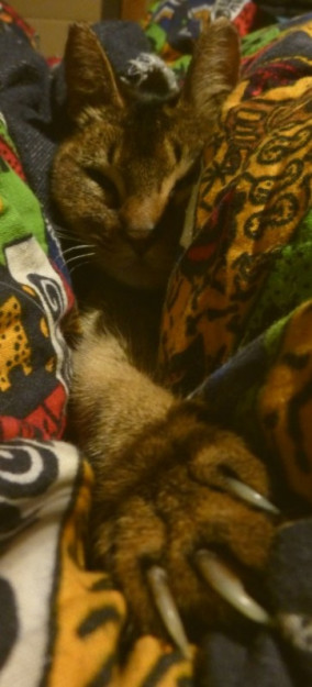 コメント639の画像