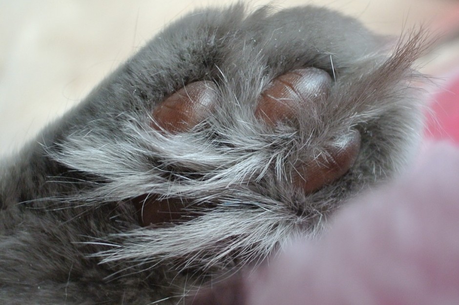 コメント48の画像