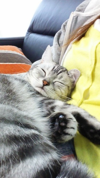 コメント60の画像