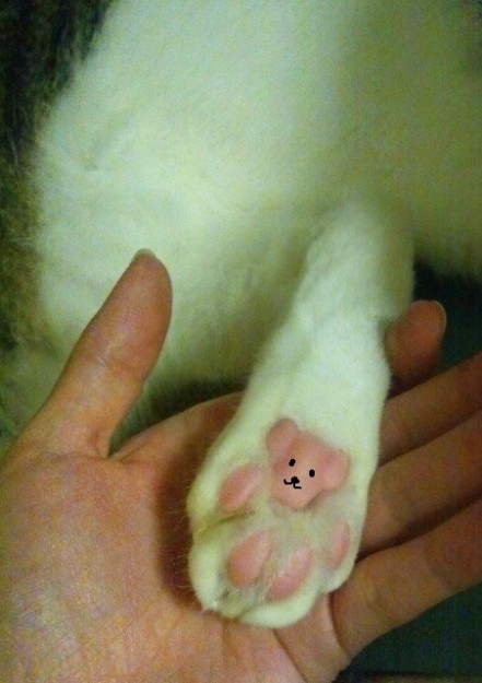 コメント68の画像