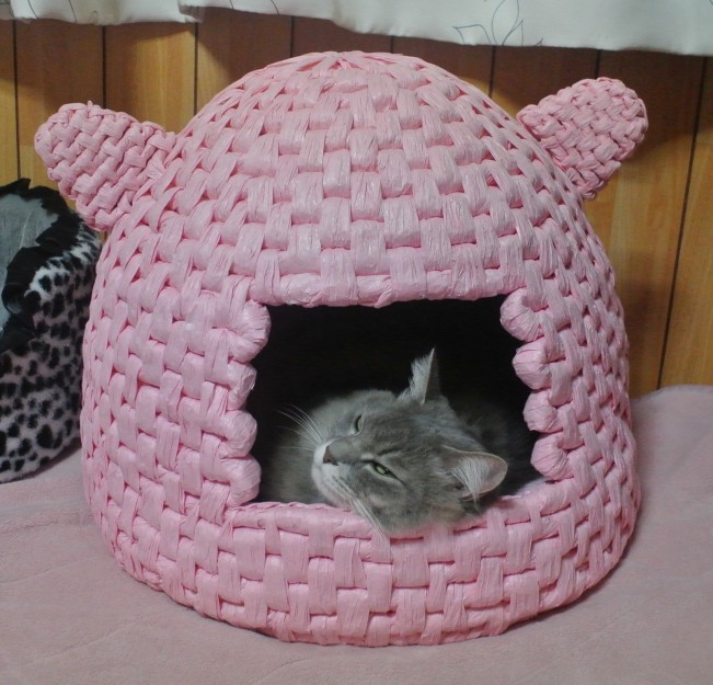 コメント118の画像