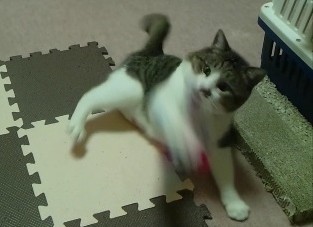 コメント130の画像