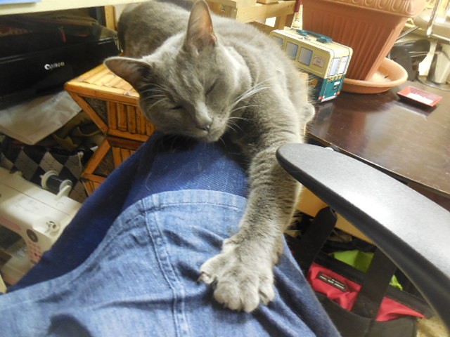 コメント104の画像