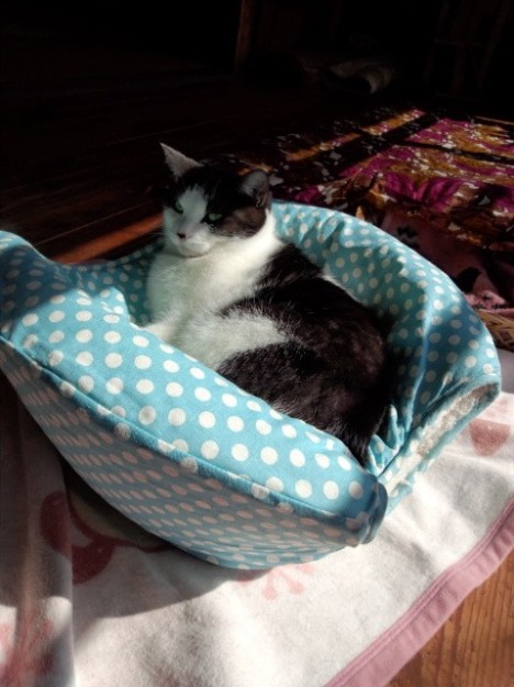 コメント120の画像