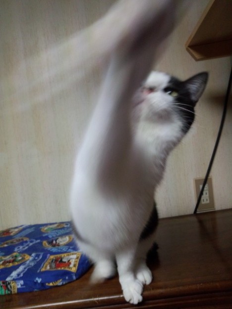 コメント129の画像