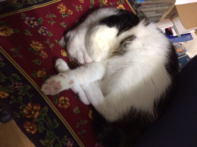 コメント77の画像