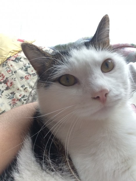 コメント95の画像