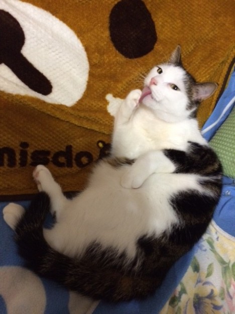 コメント122の画像