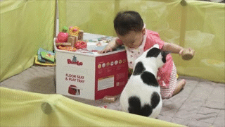 コメント63の画像