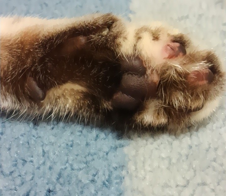 コメント47の画像