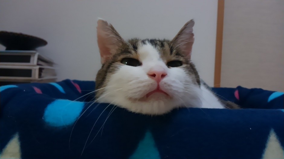 コメント116の画像