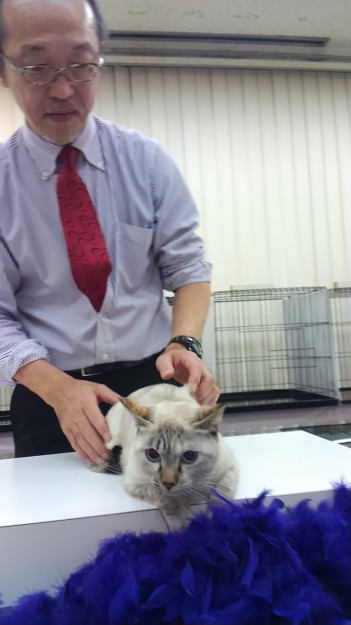 コメント127の画像