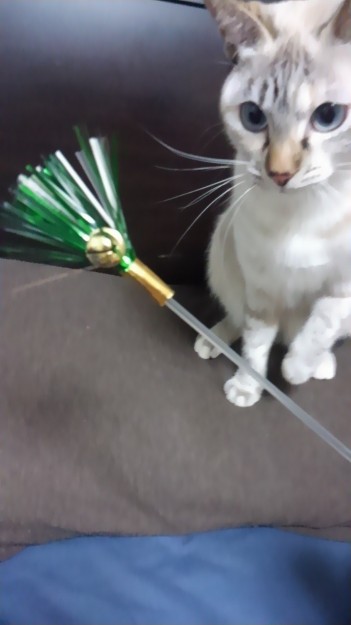 コメント128の画像