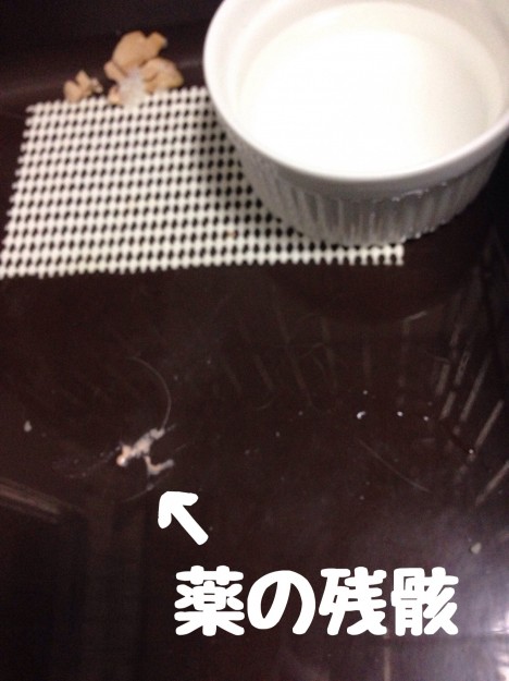 コメント48の画像