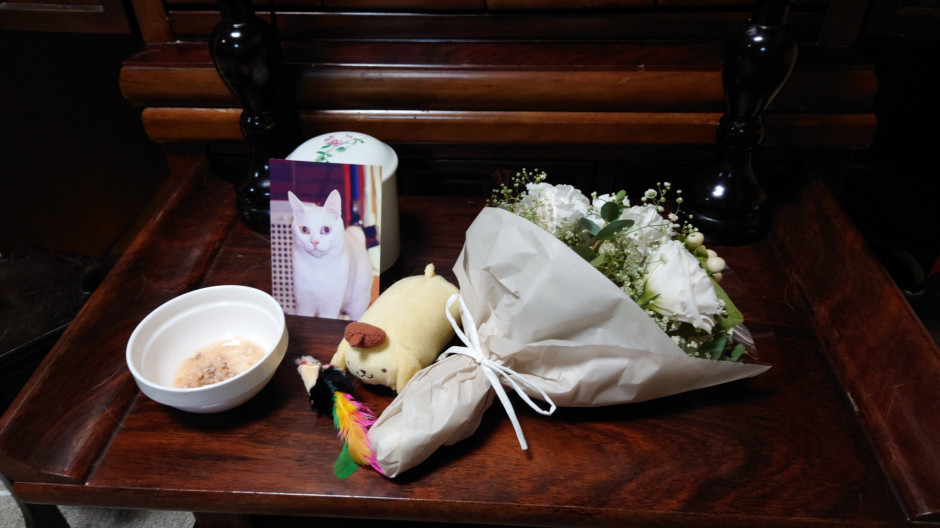 コメント96の画像