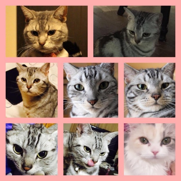 コメント28の画像