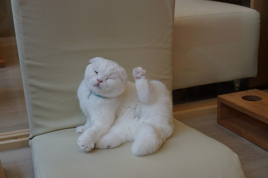 コメント4の画像