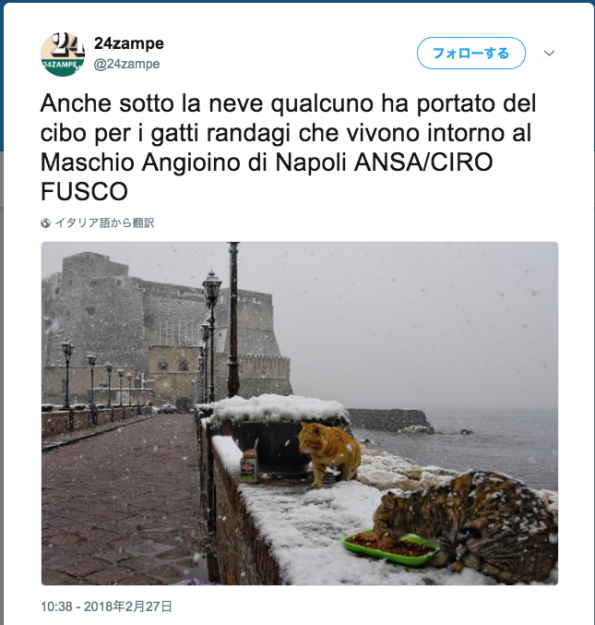 コメント166の画像