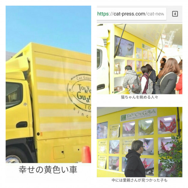 コメント212の画像